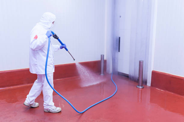 Best Rust Removal  in Ponca City, OK